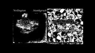 NOOTHGRUSH / WELLINGTON - Split 7" (1999)