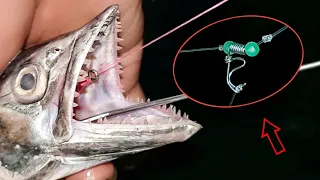 7 Tips that will Make You Good at Fishing ‼️