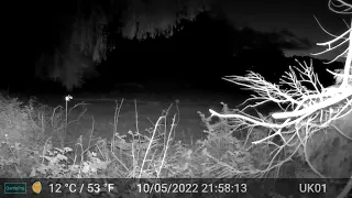 Night Videos Only Edit GardePro A3 Wildlife Trail Camera Brittany France 6th To 13th May 2022