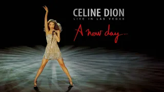 Celine Dion - River Deep Mountain High (Official Instrumental) (Live in Las Vegas)