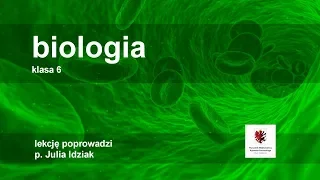 Klasa 6 - Biologia - | szkoła