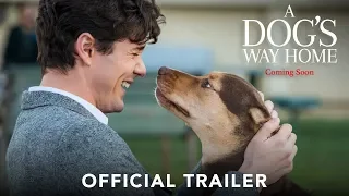 A Dog's Way Home | Official Trailer | Coming Soon