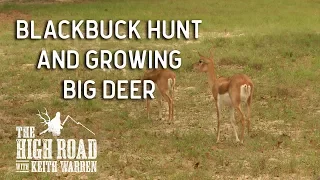 Blackbuck Hunting & Deer Management Tips | The High Road with Keith Warren