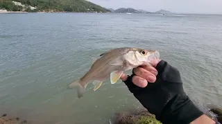 Com esta Técnica de Pesca, é impossível um iniciante não pescar peixes nas pedras do mar