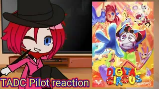 Fandoms react to The Amazing Digital Circus: Pilot! (Gacha club)