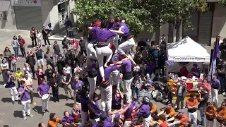 La Colla Castellera de Figueres aixeca un 4d7 en la diada de Fires