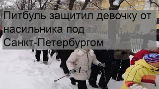 Питбуль защитил девочку от насильника под Санкт-Петербургом