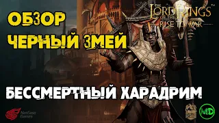 Черный Змей / 2 Часть / Обзор Героя / LOTR: Rise to War