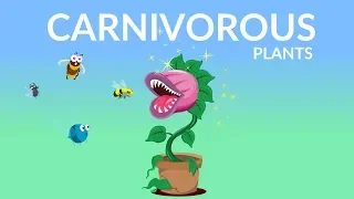 Carnivorous plants video for kids