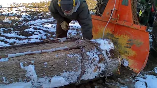 SKIDDING SAW LOGS WITH OLDER FARM TRACTOR AND 3PT PTO WINCH USING A CHAIN CHOKER AND CABLE