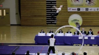 World Championships in Gymwheel 2016 Nico Weiss 2nd place vault finals