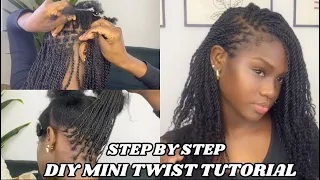 Mini Twist Tutorial With Extenstions | STEP BY STEP INSTALLATION **FOR BEGINNERS** Ft. Ywigs Hair