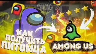 Как бесплатно получить питомца в Амонг ас! Питомец в Among us без читов 😱