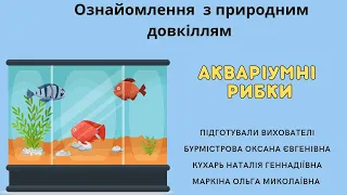 "Акваріумні рибки".Ознайомлення з природним довкіллям