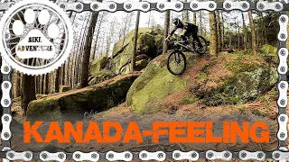 GEILSTER TRAIL im Harz ?!?😍 ...fast wie in Kanada-  Downhill im Okertal 🚵‍♂️