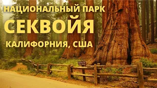 Национальный парк Секвойя, штат Калифорния / Sequoia National Park, California