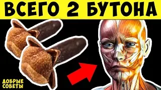 Что будет, если Есть по 2 бутона Гвоздики в День