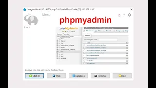 How to install phpmyadmin in Laragon
