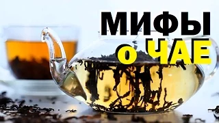 Галилео.  Мифы о чае