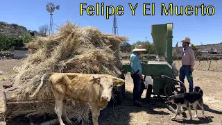 Mi Ranchito Esta Alejado De La Ciudad Entre Cerros Y Arroyos.🐴🤠👍🌱🌻🌵