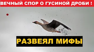 🌾 ГУСИННАЯ МАТЕМАТИКА!  СПОРЫ ЧЕМ СТРЕЛЯТЬ ГУСЯ?