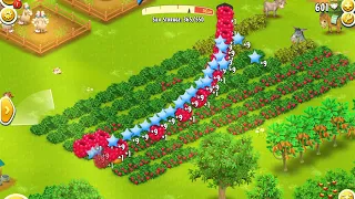 Hay Day Gameplay - Level 61 🍓 - Satisfying Raspberry Collection