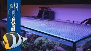 Tutorial: Make a DIY Screen Top for Your Aquarium