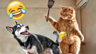 You Laugh You Lose🤣🐶Funniest Dogs and Cats 2024😁