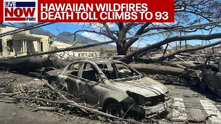 Maui Fire: Death toll rises to 93, deadliest wildfire in over 100 years | LiveNOW from FOX