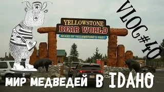 Парк медведей в Айдахо -- Контактный Зоопарк в США -- VLOG#40 🇺🇸