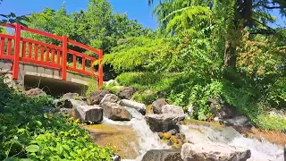 Звуки городского водопада в японском саду