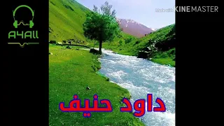 Dawood Hanif-Nawee| Best Songs|داود حنیف- ناوی