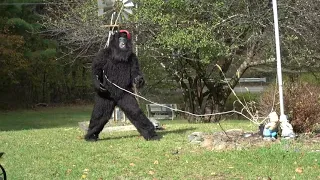 SOCIAL JUSTICE WARRIOR'S SHOCKING BIGFOOT VIDEO