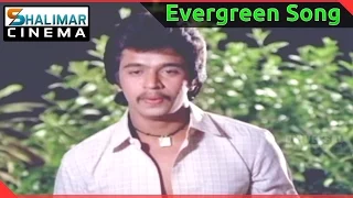 Evergreen Hit Song of the day || Rani Ranamma Video Song || shalimarcinema || Shlimarcinema