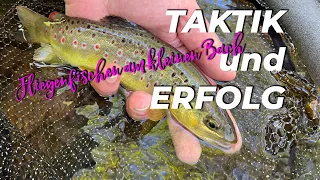 TAKTIK und ERFOLG //  Fliegenfischen am kleinen Bach