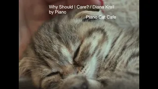 Why Should I Care? / Diana Krall by Piano