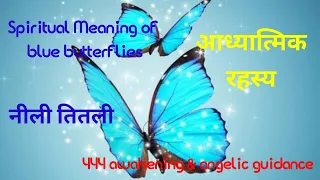 Spiritual Meaning Of Blue butterflies ( Hindi )