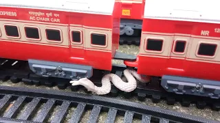 Train is Coming before the Snake on the Railway Track