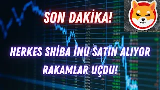 HERKES SHIBA INU SATIN ALIYOR ! / RAKAMLAR UÇDU ! / SHIBA COIN SON DURUM / SHIBA GELECEĞI