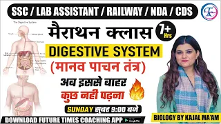 Digestive system (पाचन तंत्र) By Kajal Ma’am #digestivesystem #science #sciencebykajalmaam