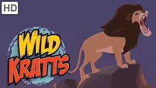 🐈 Wild Kratts - Hear the Big Cats Roar!