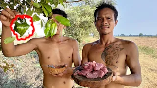 OH! MY GOD! EAT ALIVE WEAVER ANT WITH RAW BEEF UNBELIEVABLE! | Rural Life Food