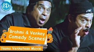 Brahmanandam Back To Back Comedy Scenes - Namo Venkatesa Movie