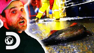 “Theres $110,000 Worth Of Fish Flopping Around On My Deck!” | Deadliest Catch