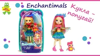Enchantimals doll Peeki Parrot и Sheeny | Кукла  Энчантималс попугай Пикки Какаду с питомцем