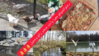 vlog/kratin aubergine & abdijstraat & rievierenhof & boekenbergpark &  lidlهميزات شهر رمضان