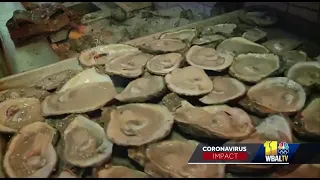 Oyster farms feel strain of pandemic as demand declines