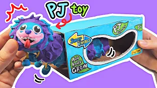 Poppy Playtime PJ Toy Making🐛 DIY PJ Pug a Pillar Toy (Poppy Playtime Chapter 2)