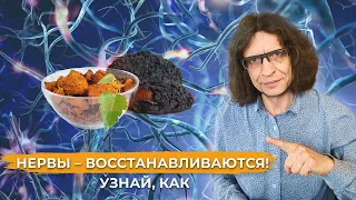 Как ускорить восстановление нервов в клетках?