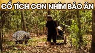 CỔ TÍCH CON NHÍM BÁO ÂN | CỔ TÍCH VIỆT NAM MỚI NHẤT 2024 | PHIM CỔ TÍCH HAY NHẤT 2024 |GHIỀN CỔ TÍCH